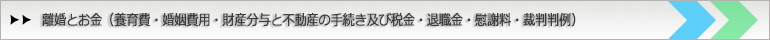 養育費・婚姻費用・財産分与・不動産手続き及び税金・退職金・慰謝料・裁判判例